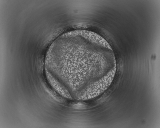 X0000111600460200908061418