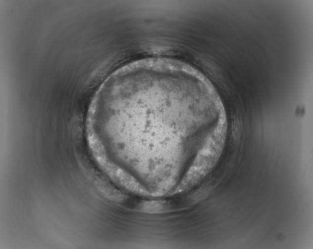 X0000111600461200908061418