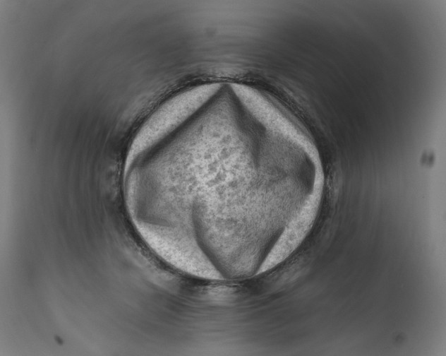 X0000111600462200908061418