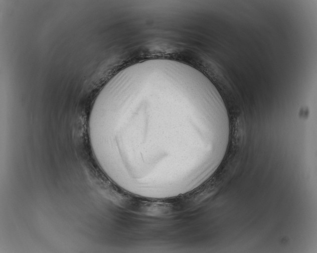 X0000111600463200908061418