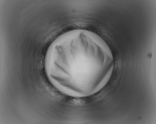 X0000111600464200908061418