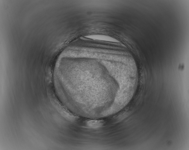 X0000111600465200908061418