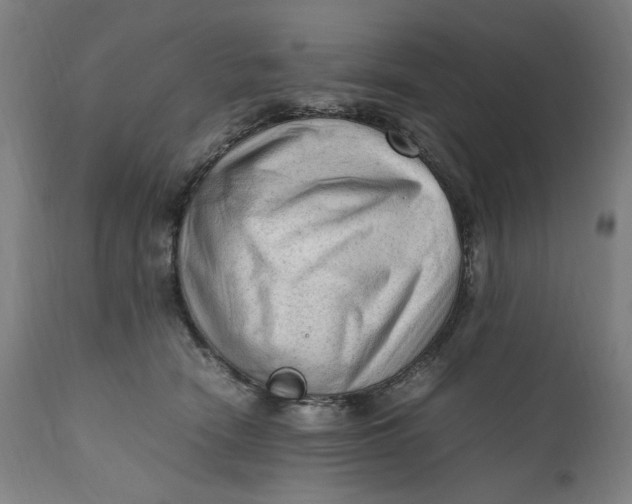 X0000111600466200908061418