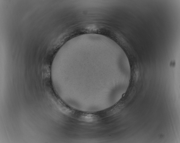 X0000111600467200908061418