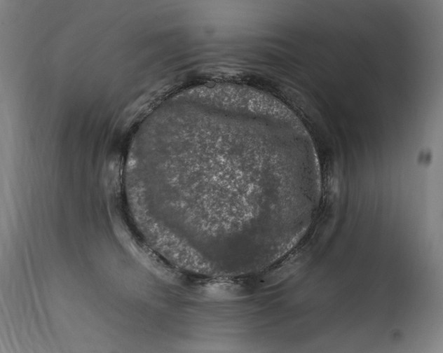 X0000111600468200908061418