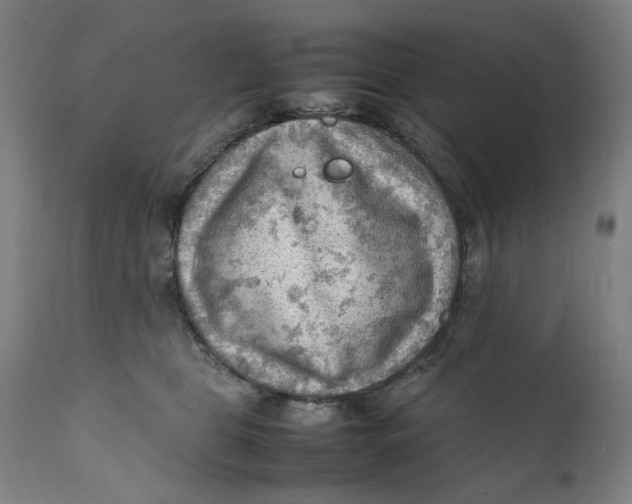 X0000111600469200908061418