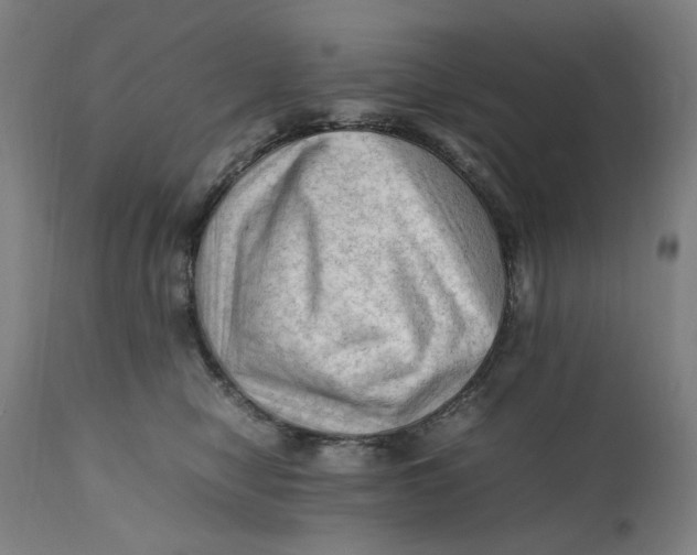 X0000111600470200908061418