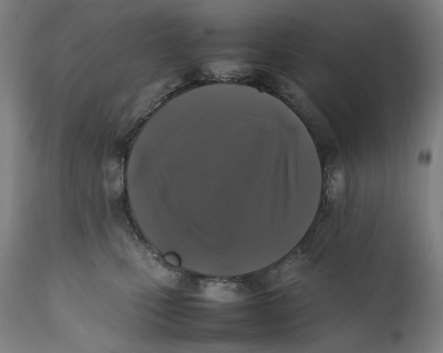 X0000111600471200908061418