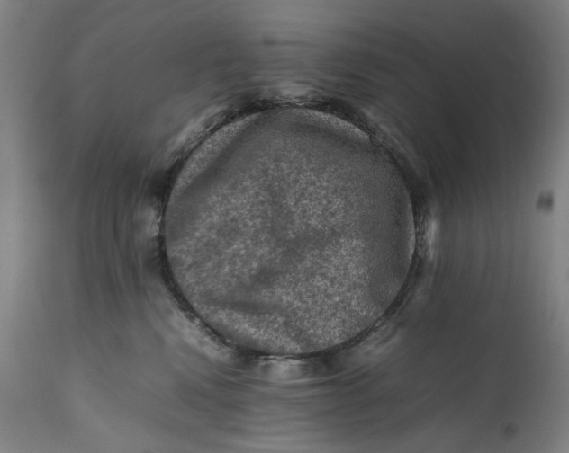 X0000111600472200908061418