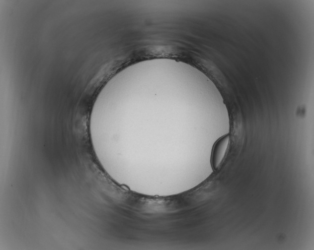 X0000111600473200908061418