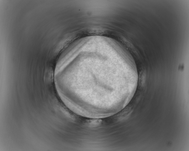 X0000111600474200908061418
