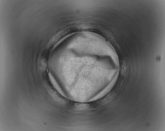 X0000111600476200908061418