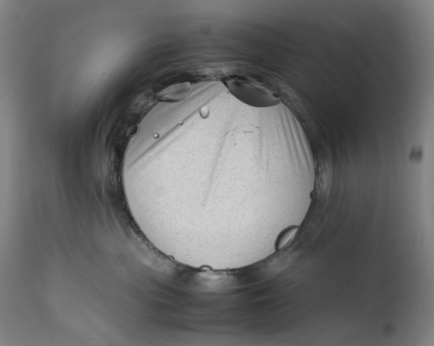 X0000111600477200908061418
