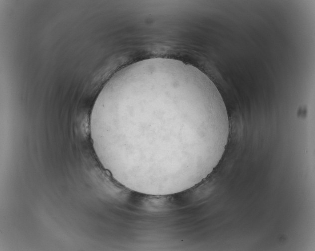 X0000111600479200908061418