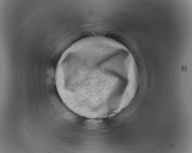 X0000111600480200908061418