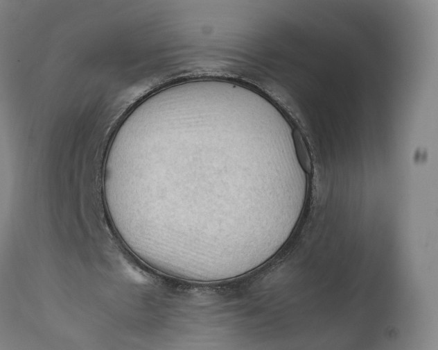 X0000111600481200908061418