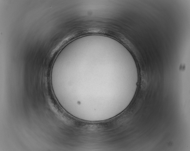 X0000111600482200908061418