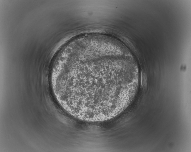 X0000111600483200908061418