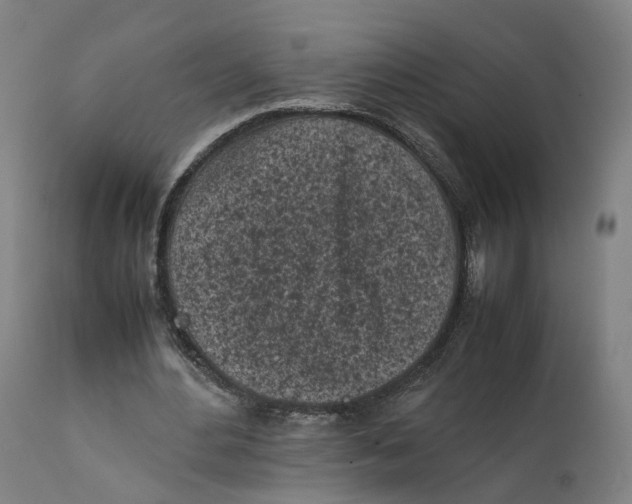 X0000111600484200908061418