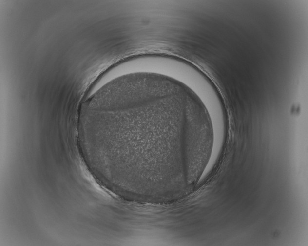 X0000111600485200908061418