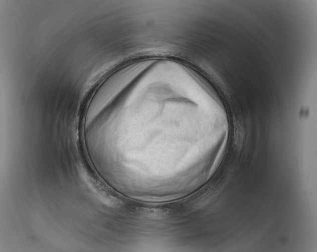 X0000111600486200908061418