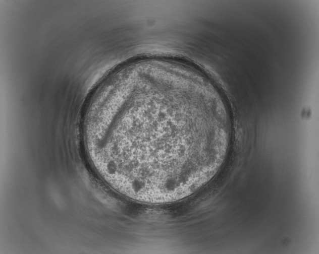 X0000111600487200908061418