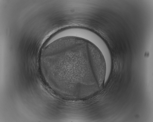 X0000111600488200908061418