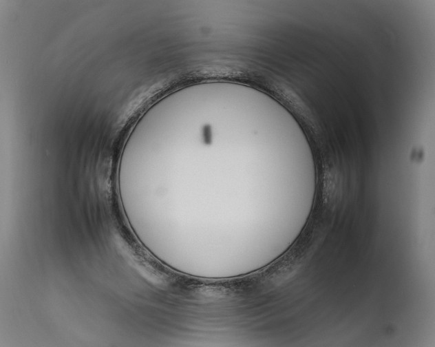 X0000111600490200908061418