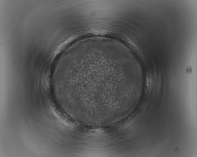 X0000111600492200908061418
