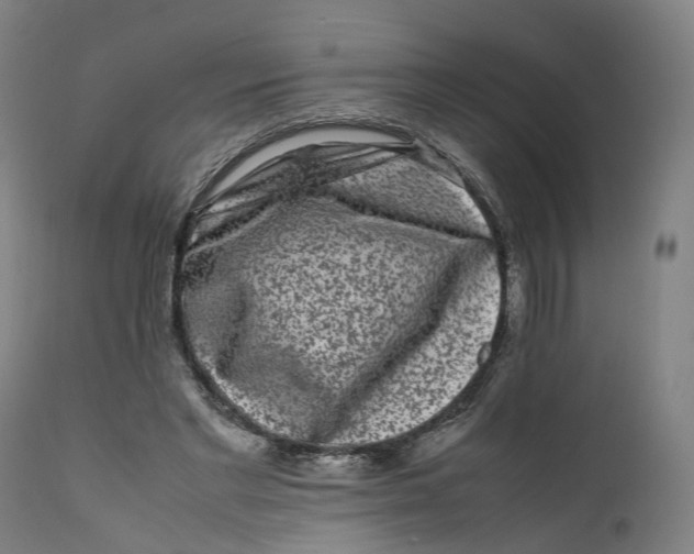 X0000111600493200908061418