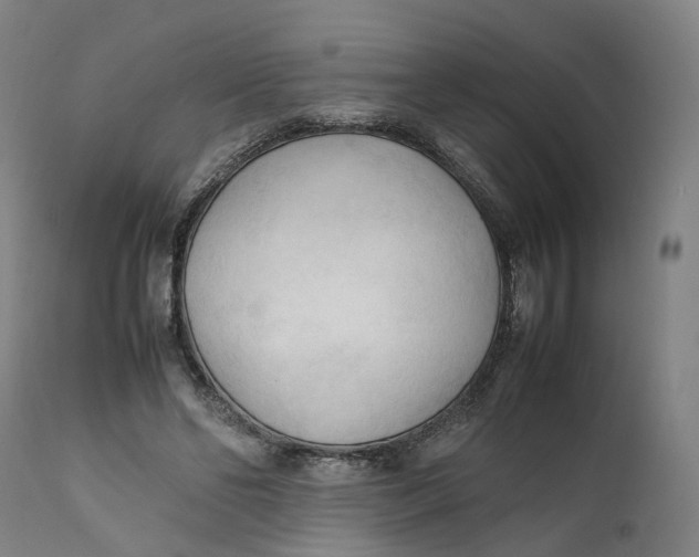 X0000111600494200908061418