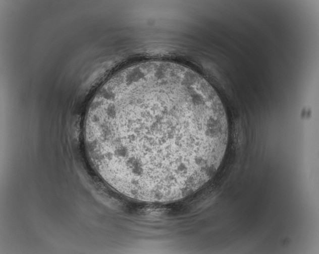 X0000111600495200908061418