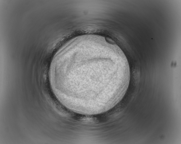 X0000111600499200908061417