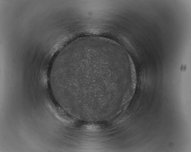 X0000111600500200908061417