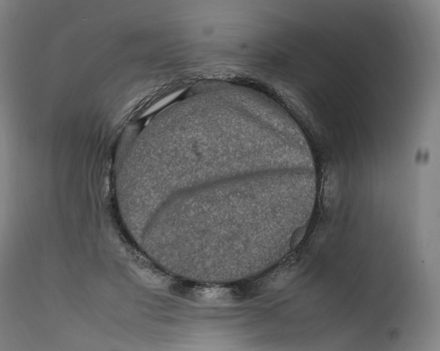 X0000111600501200908061417