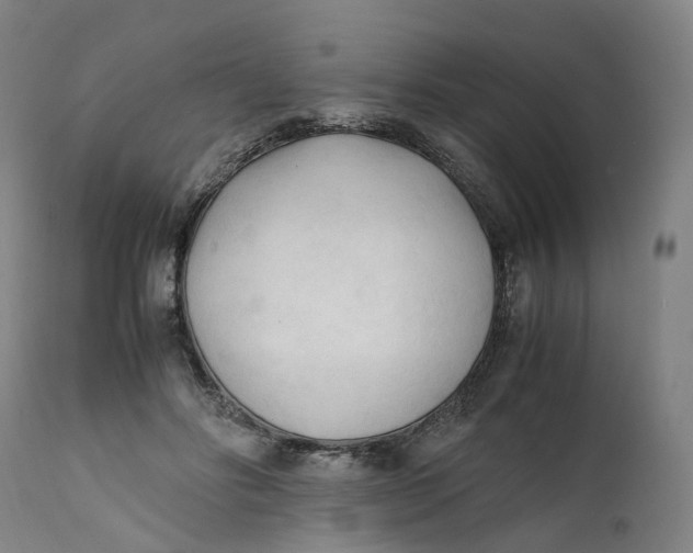 X0000111600502200908061417