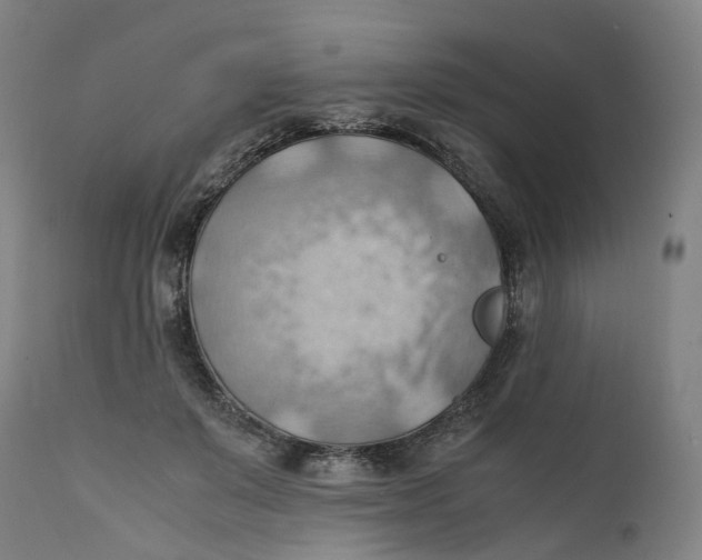 X0000111600503200908061417