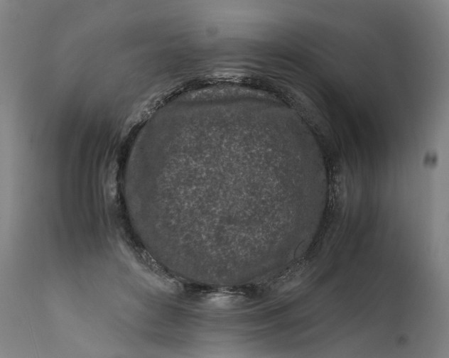 X0000111600504200908061417