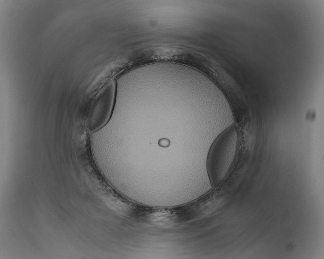 X0000111600505200908061417