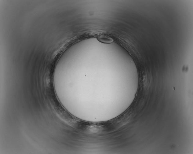 X0000111600508200908061417