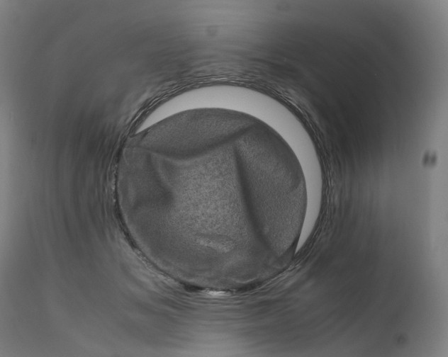 X0000111600509200908061417