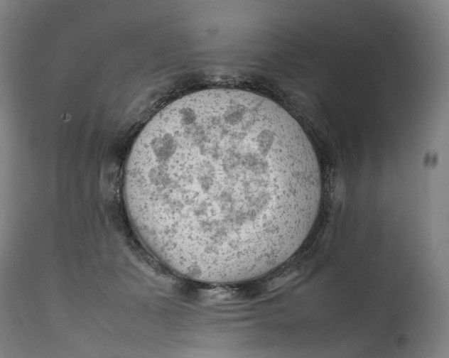 X0000111600511200908061417