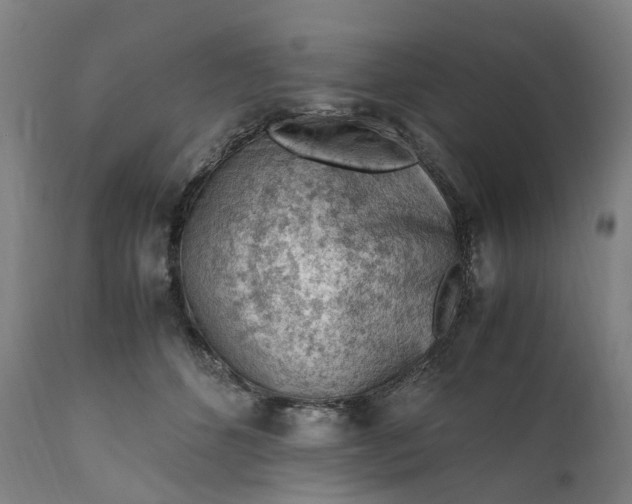 X0000111600512200908061417