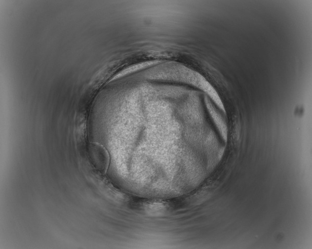 X0000111600513200908061417