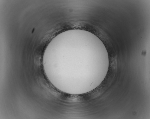 X0000111600514200908061417