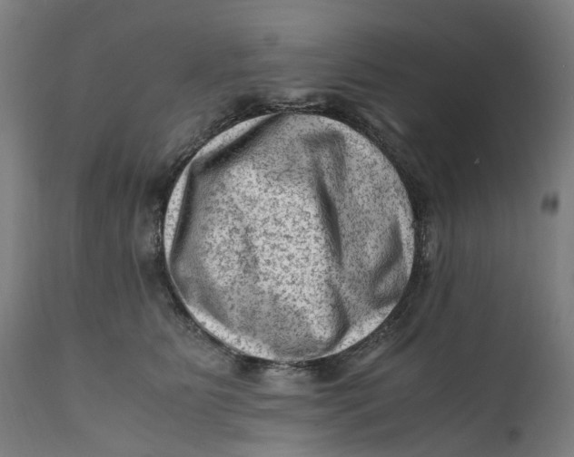 X0000111600515200908061417