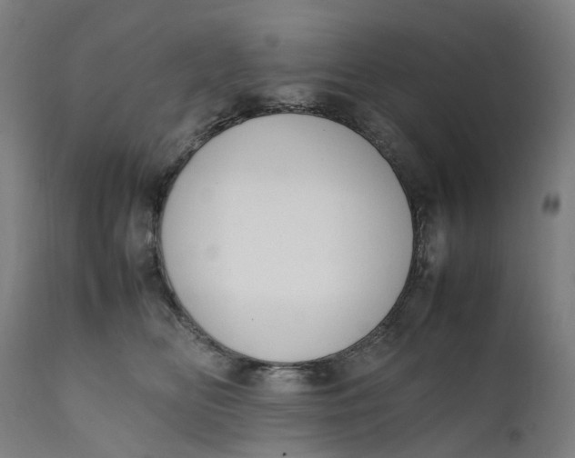 X0000111600518200908061417