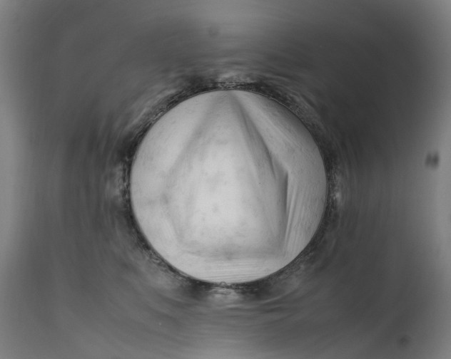 X0000111600519200908061417