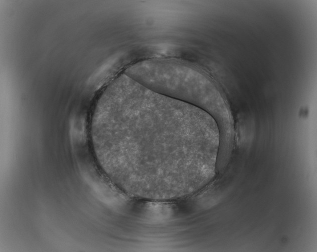 X0000111600520200908061417