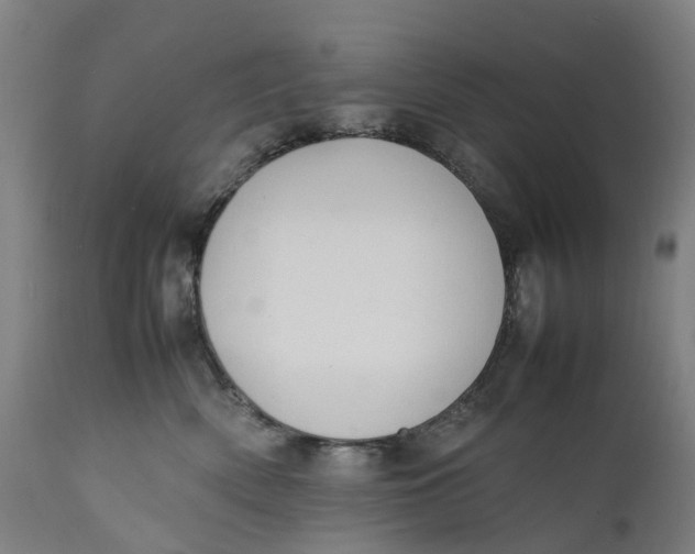 X0000111600522200908061417